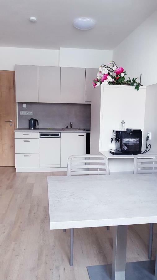 Apartmany Dolní Morava 外观 照片