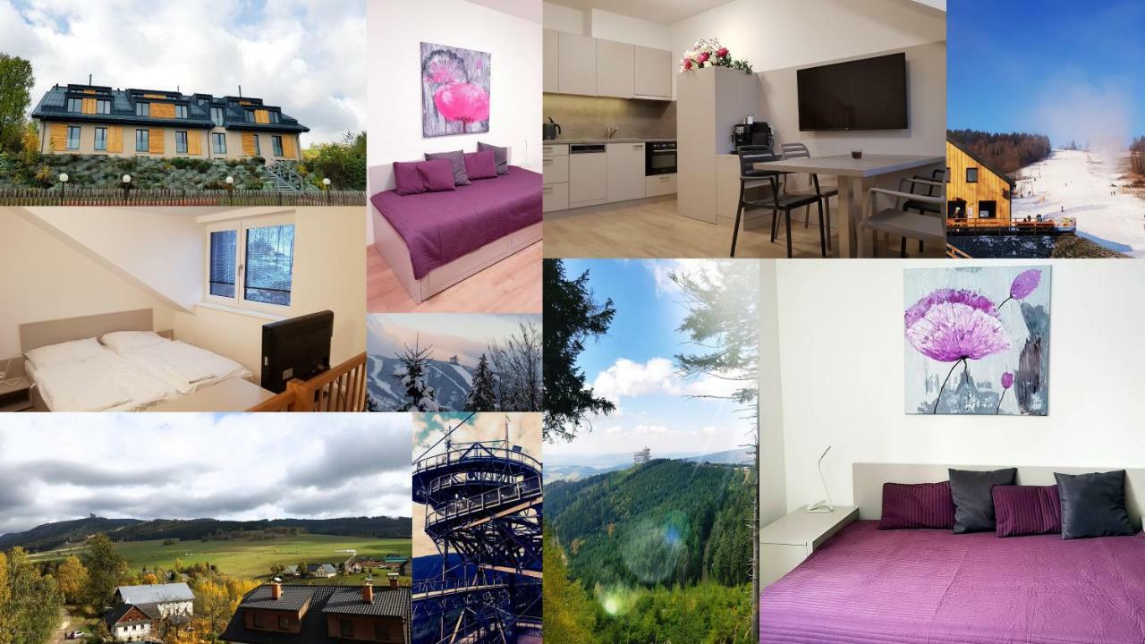 Apartmany Dolní Morava 外观 照片